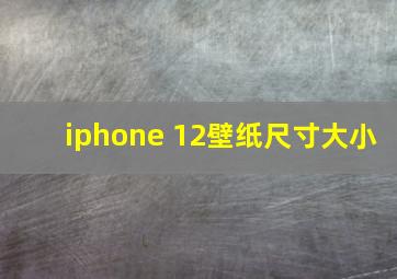 iphone 12壁纸尺寸大小